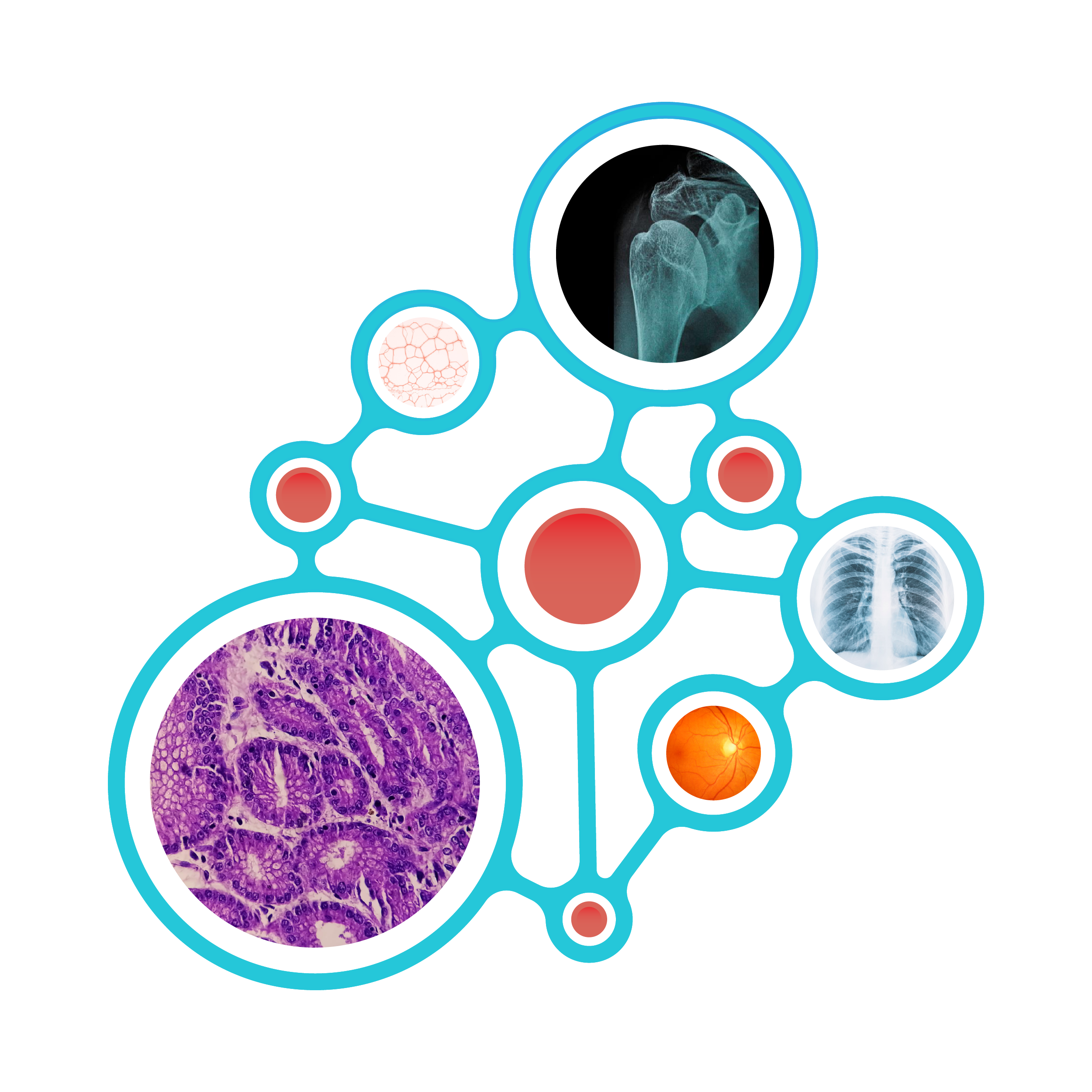 Biomedica Icon